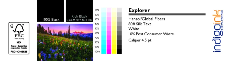 Explorer White Silk 80# Text